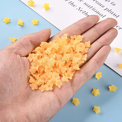 Прозрачные акриловые бусины PL554-07