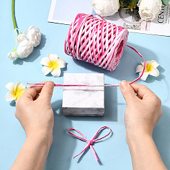 Сегментированные окрашенные шнуры из рафии для поделок своими руками&nbsp;OCOR-WH20020-27A