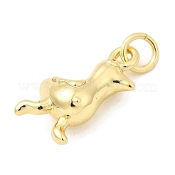 Латунные подвески&nbsp;KK-I364-02G-03