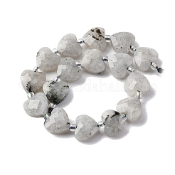 Природные лабрадорита бисер нитей G-P570-E18-01