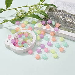 200 шт. Светящиеся акриловые бусины&nbsp;TACR-YW0001-24