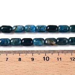 Природного апатита нитей бисера G-G980-51A