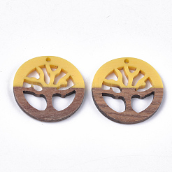 Подвески из смолы и ореха&nbsp;RESI-S358-37B