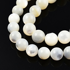 Fili di perline di conchiglia bianco naturale&nbsp;SSHEL-N003-144G-01
