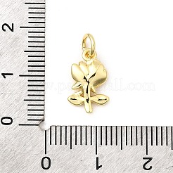 Латунные подвески&nbsp;KK-I364-44G