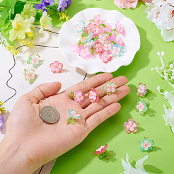 30шт 5 цвета прозрачные акриловые подвески&nbsp;PALLOY-TA00304