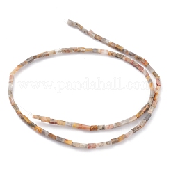 天然クレイジーレースアゲートビーズ連売り  直方体の  3.5~6x2.2x2.2mm  穴：0.9mm  約79~83個/連  15.04~15.24''（38.2~38.7センチメートル）&nbsp;G-C301-05