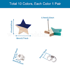 10 пара двухцветных прозрачных сережек-гвоздиков из смолы и дерева DIY-FW0001-09