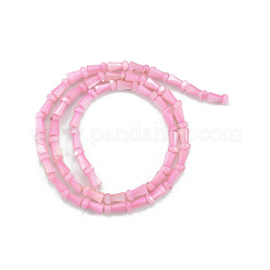 Нити бусин из натуральных пресноводных ракушек&nbsp;SHEL-G013-02