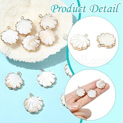 10 шт. подвески из натуральных пресноводных ракушек с гальваническим покрытием&nbsp;SHEL-CJ0001-39