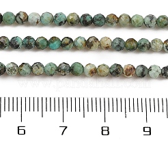Brins de perles turquoises africaines naturelles (jaspe)&nbsp;X-G-P472-01