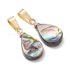 Abalone Muschel / Paua Muschel Anhänger&nbsp;PALLOY-JF05263
