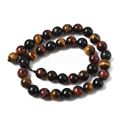 Природных тигровый глаз бисер нитей&nbsp;X-G-F173-14-10mm