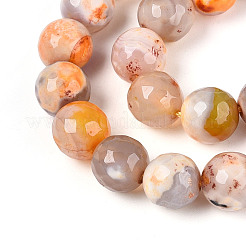 Brins de perles d'agate craquelées au feu naturel teintées et chauffées&nbsp;G-N359-01B-10