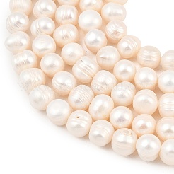 Brins de perles de culture d'eau douce naturelles&nbsp;PEAR-D003-01C-05