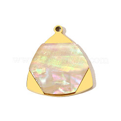 Подвески в виде ракушек из нержавеющей стали 304&nbsp;STAS-OY009-51G