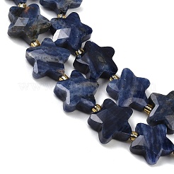 Природный содалит бисер нитей G-P573-C10-01