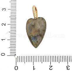 Natur Labradorit Anhänger&nbsp;G-C290-01D