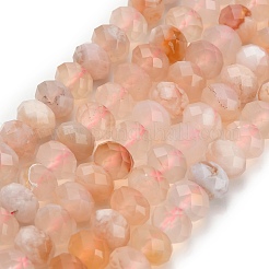 Натуральные вишневые агатовые бусины G-Z111-A40