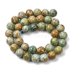 Fili di perle naturali di turchese peruviano (diaspro)&nbsp;G-T150-A01-10mm
