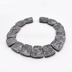 Градуированные бусины из натурального ларвикита G-P296-F01