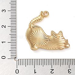 Стойки обшивки сплава эмали подвески&nbsp;FIND-Q099-09G-04