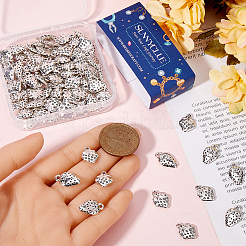 100шт 2 стиля подвески из сплава в тибетском стиле&nbsp;FIND-SC0011-86