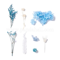 Сушеные цветы DIY-D052-10