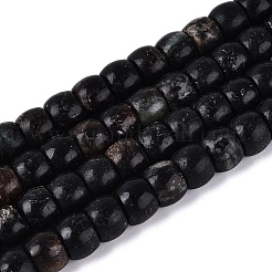 Perles naturelles biotite brins&nbsp;G-Q616-02A-12