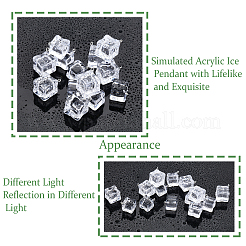 32шт 2 стиля прозрачные акриловые подвески TACR-CA0001-17