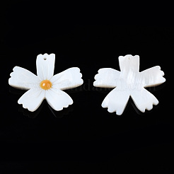 Природные подвески оболочки пресноводных&nbsp;SHEL-N003-18