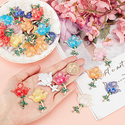 Тема дня святого валентина&nbsp;TACR-SC0001-01