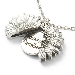 Colliers pendentifs en alliage ouvrable&nbsp;NJEW-M186-02ASP