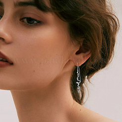 1 пара латунных сережек-подвесок&nbsp;EJEW-HS0001-29P