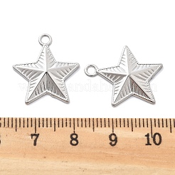 Подвески из нержавеющей стали 304 с защитой от потускнения STAS-R130-53P