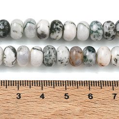 天然石ツリーアゲート瑪瑙ビーズ連売り  滑らかなロンデル  8~9x5~5.5mm  穴：1.4mm  約69~74個/連  14.57~15.16''（37~38.5センチメートル）&nbsp;GG-CBA9281-A01-5x8mm