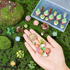 樹脂製の鉢植えの植物は装飾品を表示します  ミニチュア造花  ドールハウスの装飾のためのミニガーデン  ミックスカラー  11.5~33x8~27mm  30個/箱&nbsp;DIY-FG0003-04