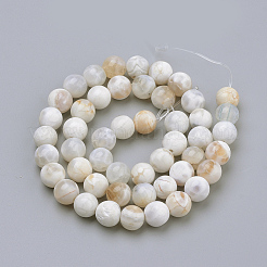 Naturelles feu crépitent agate perles brins&nbsp;X-G-S249-09-8mm