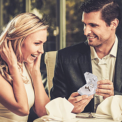 Акриловая шкатулка для ювелирных изделий&nbsp;CON-WH0085-10A