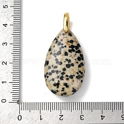 Dalmatiner Jaspis Anhänger Natur&nbsp;G-B188-01G-04