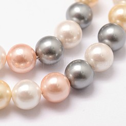 Cuentas perlas de concha de perla&nbsp;LS-BSHE-L017-17