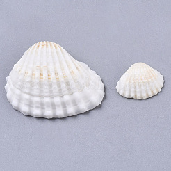 Бусины из натуральных ракушек SSHEL-S258-73