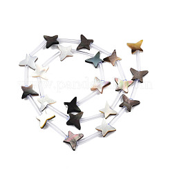 Нити бусин из натуральной черной ракушки для губ SSHEL-N003-149