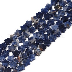 Природный содалит бисер нитей G-B138-C12-01