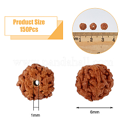 染色されていない天然ルドラクシャビーズ150個  ラウンド  シエナ  6~9x6~9mm  穴：1mm&nbsp;WOOD-DC0001-17
