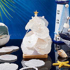 60 шт. натуральные бусины из ракушек капиз FIND-PH0026-67