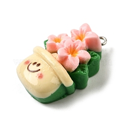 Подвески из непрозрачной смолы&nbsp;CRES-D307-08P-B