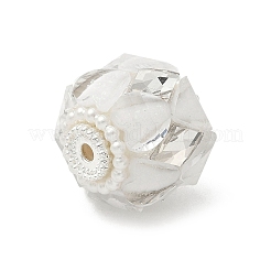 Прозрачные акриловые бусины CLAY-NH0003-04S-01