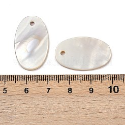 Овальная пресноводных оболочки подвески SHEL-M005-34