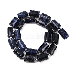 Природный содалит бисер нитей&nbsp;G-G453-E06-10x14mm